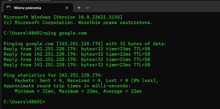 Google Ping v CMD