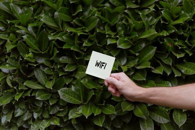 WIFI