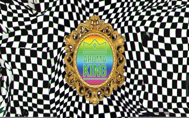 Waporyzatory bez nikotyny Aroma King – technologia i użytkowanie